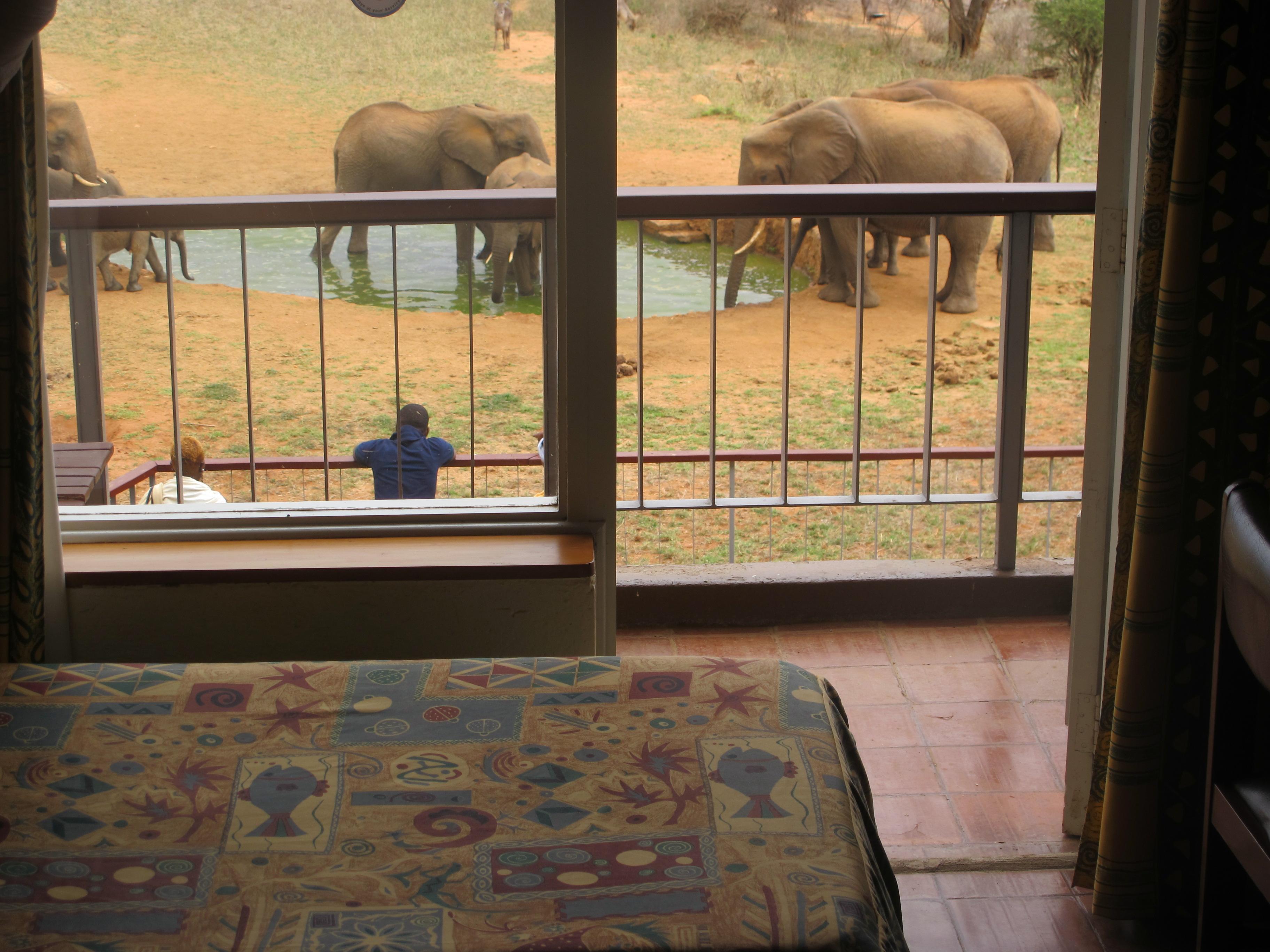 Ngulia Safari Lodge Tsavo Bagian luar foto