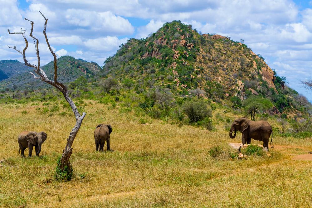 Ngulia Safari Lodge Tsavo Bagian luar foto