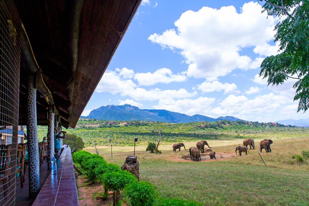 Ngulia Safari Lodge Tsavo Bagian luar foto